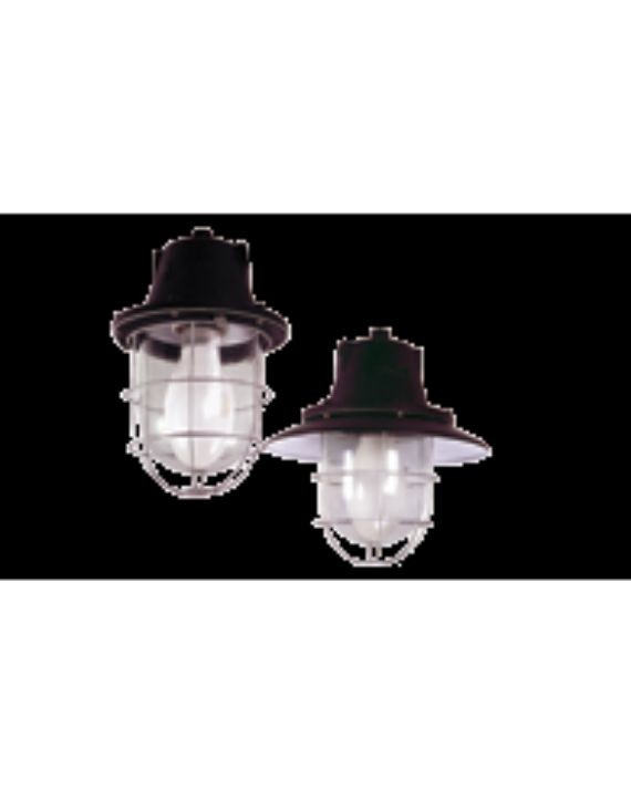 Wellglass WWM/S 30 - WWS 30150 1x150 W HPMV (E)_(Conventional)